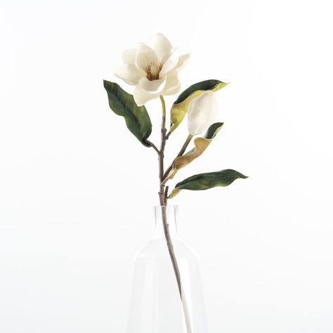 Magnolia Wedding Flowers, Stem Tattoo, Magnolia Bud, Lily Of The Nile, Flower Of Love, Faux Stems, Magnolia Leaf, Southern Magnolia, White Magnolia