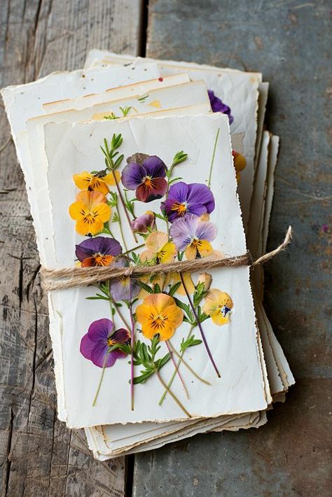 31 Pressed Flower Crafts: Creative Projects for Every Season Pressed Flowers Cards, Diy Dried Flowers, Make Bookmarks, Pressed Flowers Diy, Drying Flowers, Dried Flowers Diy, Flower Pressing, Flower Projects, Dried Pressed Flowers