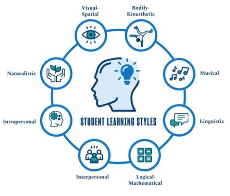 Students have different learning styles. Educators have different teaching styles. This post explores how teachers can develop a deeper understanding of both to become more effective educators in the classroom. Teaching Styles, Multisensory Learning, Different Learning Styles, Multisensory Teaching, Tactile Activities, Effective Teaching Strategies, Multi Sensory Learning, Phonics Instruction, School Health