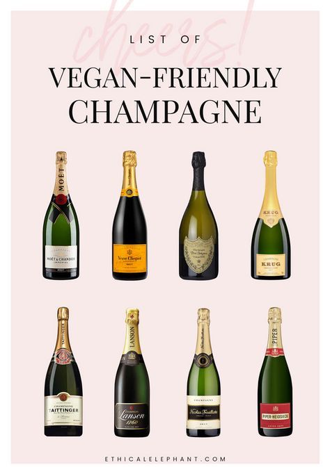 Celebrate and indulge in a bottle of champagne but IS Champagne Vegan? Vegan 101, Vegan Beverages, Vegan Lifestyle Inspiration, Vegan Cocktails, Vegan Alcohol, Champagne Campaign, Vegan Books, Mother Health, Champagne Drinks