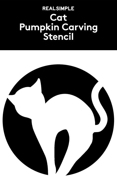 Cat Pumpkin Carving Stencil | Easily spooked by ghouls, goblins, and all things Halloween? Opt for this cat stencil, which is more cute than creepy. Pumpkin Carving Cat, Best Pumpkin Carving Ideas, Easy Pumpkin Stencils, Cat Pumpkin Stencil, Best Pumpkin Carving, Cat Stencil, Cat Pumpkin Carving, Pumpkin Carving Stencil, Halloween Pumpkin Stencils