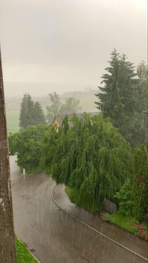 Rain Video, Summer Thunderstorm, Rainy Day Aesthetic, I Love Rain, Summer Rain, Beautiful Places Nature, Beautiful Photos Of Nature, Rain Photography, Cool Pictures Of Nature