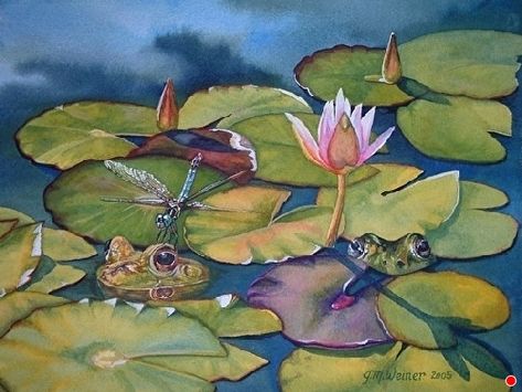 Lily Pad Drawing, Pond Watercolor, Dandelion Watercolor, Pond Drawing, Water Lilies Art, Lilies Drawing, Water Lilies Painting, Pond Painting, Water Drawing