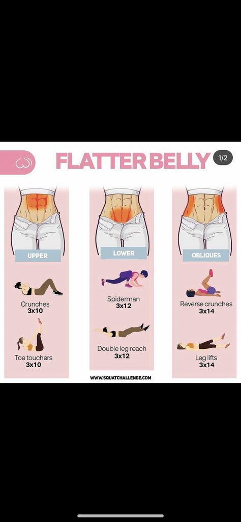 Workout For Slim Waist Flat Stomach, Flat And Toned Stomach Work Outs, Ab Workouts At Home Small Waist, Workouts For A Thinner Waist, Flat Lower Stomach Workout, Works Outs For Flat Stomach, Snatched Stomach Workout, Slim Toned Stomach Workout, Best Work Outs For Stomach