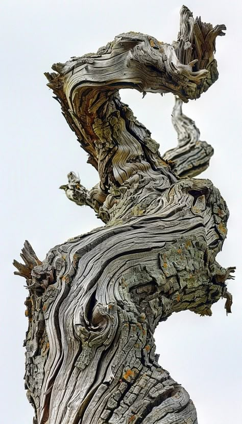 Tree Bark Reference, Textures In Nature Drawing, Branch Sculpture Art, Twisted Tree Branches, How To Paint Tree Bark, Tree Close Up, Tree Branch Reference, Tree Bark Drawing, Bark Drawing