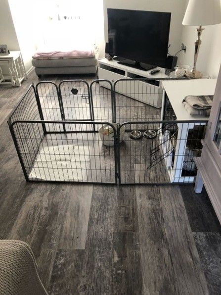 My Top Tips for Puppy’s First Nights at New Home - My Puppy Whines at Night - Yes! Good Dog Dog Pens Inside House, New Dog Setup, Puppy Den Ideas, Puppy Station Ideas, Puppies First Night Home, Dog Playpen Setup, Crate Setup For Puppy, Puppy First Night Home, Diy Puppy Playpen Indoor