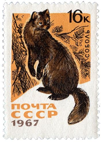 Postage Stamp Design, Calendar Stamps, Postcard Stamps, Cat Stamp, Old Stamps, Mail Stamp, Postage Stamp Art, Vintage Postage, Post Stamp