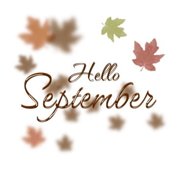 hello september,autumn,fallen,september,hello,english,leaves,lettering,floral,typography,fallen leaves,september ceria,fall,month,hand lettering,nature,september month,local,hi september,lettering of september,flower,brown,brown leaves,cute ornament,damask