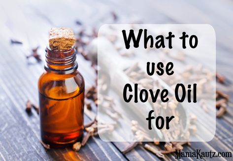 What to Use Clove Essential Oil for Orange Juice Benefits, Foaming Hand Soap Recipe, Diy Foaming Hand Soap, Essential Oils Business, Nightly Routine, Essential Oils For Pain, Essential Oil Companies, Clove Essential Oil, Essential Oil Mixes