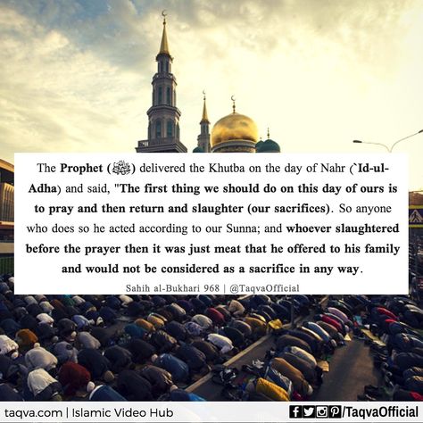 Make sure you slaughter after the #prayer! . Narrated Al-Bara':  The Prophet (ﷺ) delivered the Khutba on the day of Nahr (`Id-ul-Adha) and said, "The first thing we should do on this day of ours is to pray and then return and #slaughter (our sacrifices). So anyone who does so he acted according to our Sunna; and whoever slaughtered before the #prayer then it was just meat that he offered to his family and would not be considered as a #sacrifice in any way. #eiduladha #eidaladha #bakrid Bakrid Quotes, Quotes From Quran, Prophet Mohammad, Eid Ul Adha, Ramadan Quotes, Peace Be Upon Him, Secret Quotes, Beautiful Quran Quotes, The Prayer