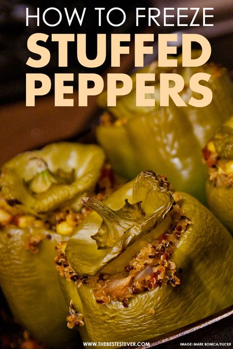 Trying to figure out if you can freeze stuffed peppers? This short guide will highlight how to prep and get this food for the freezer.  Get step-by-step instructions how to freeze stuffed peppers properly.  #stuffedpeppers #kitchenhacks #freeze #freezefood #kitchentips #cookingtips #cookingtricks #freezerfood How To Freeze Stuffed Peppers, Can You Freeze Stuffed Peppers, Stuffed Peppers For Freezing, Stuffed Peppers To Freeze, How To Freeze Stuffed Bell Peppers, Freezing Stuffed Peppers, Freezer Stuffed Peppers, Freeze Stuffed Peppers, Stuffed Peppers Ground Beef