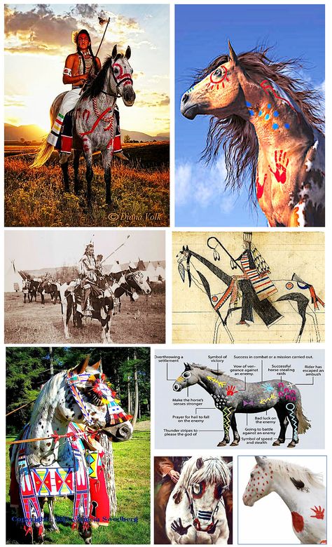 Horse Halloween Costumes, Horse Halloween, Native American Horses, Indian Horses, American Paint Horse, Painted Horses, Horse Costumes, American Paint, Paint Horse