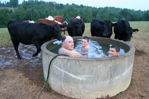 IMG_0095 Livestock Water Trough, Homemade Swimming Pools, Cowboy Pool, Homemade Pools, Stock Tank Pool, Diy Swimming Pool, Tank Pool, Round Pool, Backyard Landscaping Plans