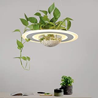 Planet Lamp, Nordic Lighting, European Lighting, Cafe Dining, Luminaire Original, Nordic Pendant Light, Plant Light, Planter Table, Bar Interior