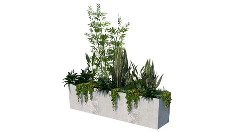 Plants For Planters, Plant Sketches, Landscape Design Drawings, Architecture Concept Diagram, Plant Box, Planter Table, Sketchup Model, Garden Design Plans, Bathroom Plants