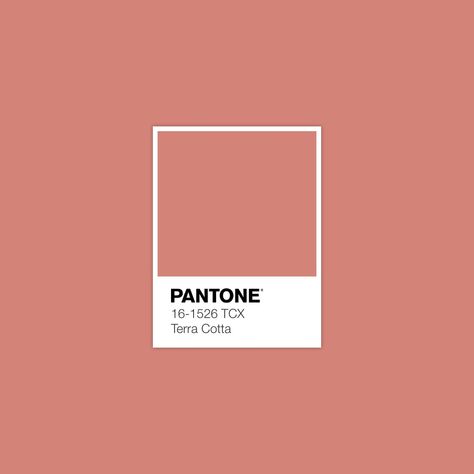 PANTONE 16-1526 TCX Terra Cotta • Download Free Adobe Illustrator Palette in .ase Format • Thank you! • #forecast #colorscheme #pantonecolors #trendforecasting #trendforecast #pantonecolor #fashionforecast #fashionforecaster #colortrends #colourschemes #patterncollection #colorpalettes #colorschemes #colourtrends #colourpallette #colortheory #colorwheel #colorinspiration #colourscheme #colorpalette #colourpalette #terracotta Pantone Terracotta Colour Palettes, Terracotta Pantone, Pastel Terracotta, Pantone Orange, Pantone Palette, Pantone Colour Palettes, Pantone Colors, Colour Board, Drawing Tutorials