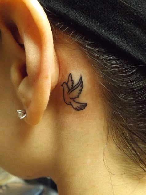 Doves Behind Ear Tattoo, Dove Tattoo Behind Ear, Dove Ear Tattoo, Small Dove Tattoos Behind Ear, Dove Behind The Ear Tattoo, Dove Tattoo Neck, Dove Behind Ear Tattoo, Dove Tattoo On Neck, Dove Tattoo Ideas