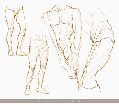 Male Form Reference, Arched Back Drawing Reference, Lifting Shirt Drawing Pose, Leg Muscles Drawing, Male Legs Reference, Male Body Study, Chest Drawing Reference, Male Hips, Hands On Hips Reference