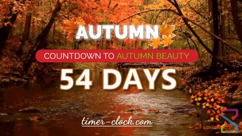 Only 54 more days until Autumn 2020 🍁 Summer Collapsed Into Fall, First Day Of Autumn, 22 September, Timer Clock, To Autumn, Autumn Beauty, Days Left, Day And Time, Autumn Fall