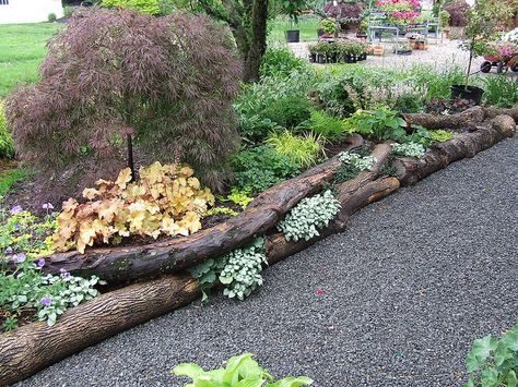 Woodland border. Wood Garden Edging, Garden Edging Ideas, Natural Landscaping, Edging Ideas, Have Inspiration, Forest Garden, Woodland Garden, Garden Edging, Garden In The Woods