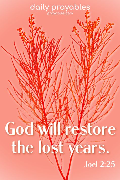 Bible based God restore me quotes are the best, and the best of them is from Joel 2:25. ~God will restore the lost years.  God bless you as you reflect on this verse. There's more Bible quotes when you sign up for the Daily Prayables on prayables.com. Join us! Based God, God Will Restore, Restore Me, Joel 2, Bible Says, Blessed Quotes, Bible Encouragement, God Bless You, Daily Devotional