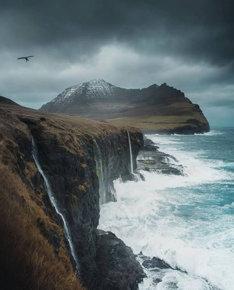 🇫🇴nordic.faroe.islands🇫🇴 on Instagram: “📷 : @rannvajoensen  Site : viðareiði @mattberthou” Forest Adventure, Crashing Waves, Faroe Islands, Virtual Tour, Scandinavia, Travel Around The World, The Edge, Mother Nature, Landscape Photography