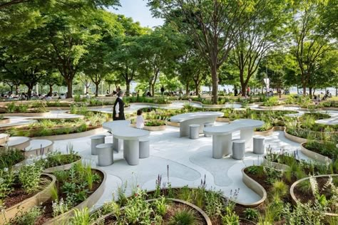 Roof Top Landscape, Public Landscape Design, Public Park Design, Urban Gardening Ideas, Plaza Design, Timber Architecture, Renovation Architecture, Architectural Illustration, Han River