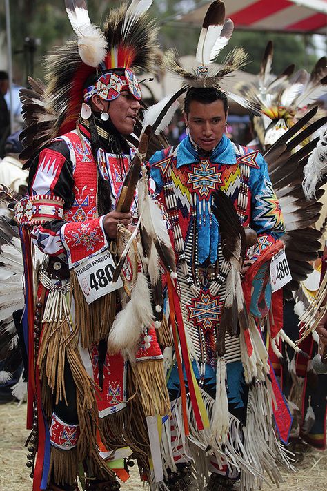 Native American Dance, Native American Dress, Powwow Regalia, American Quotes, Native American Regalia, Native American Images, Native American Men, Native American Pictures, Native American Quotes