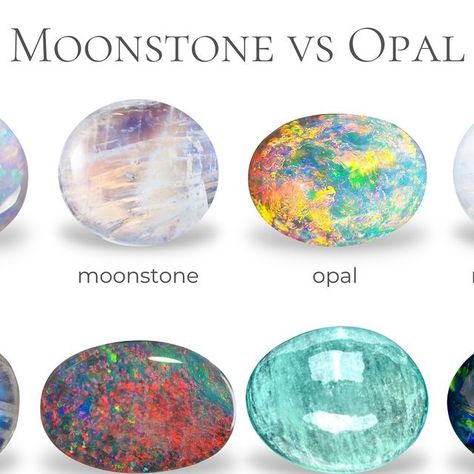 Diamond Buzz on Instagram: "Moonstone vs opal: Let the battle begin!

#moonstone #opal #gemstones #gems #gemstonelover #gemaddict" Rock Hounding, Moon Stone, The Battle, Moonstone, Opal, Gems, Let It Be, Gemstones, On Instagram