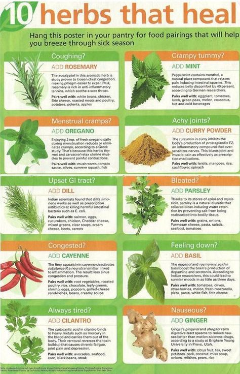 Helpful herbs - Imgur Benefits Of Herbs, Natural Diuretic, Magia Das Ervas, Healing Plants, Herbal Healing, Herbs For Health, Healing Food, Natural Health Remedies, Healing Herbs