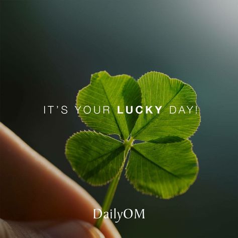 Eng Quotes, Lucky Quotes, Worth Quotes, Golden Birthday, Luck Quotes, Winner Winner Chicken Dinner, Good Luck Quotes, Fav Quotes, Lucky Day