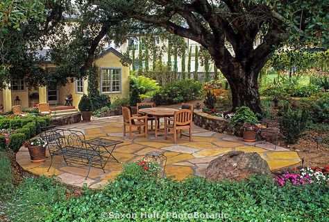 Cut stone rock masonry patio under oak in California backyard garden design by Nancy Driscoll Rock Pathways, Oak Trees Landscaping, Garden Remodel, Rock Pathway, Trees Landscaping, Garden Library, California Backyard, Pathway Landscaping, Wildlife Garden