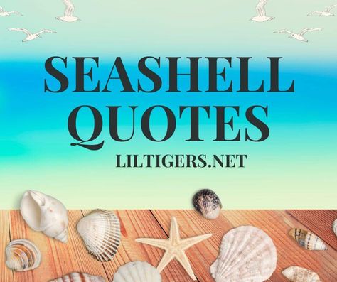 Quotes About Sea Shells, Shell Love Quotes, Shell Quotes Seashells Sayings, Sea Shell Sayings, Seashell Quotes Inspirational, She Sells Seashells By The Seashore, Seashell Poems, Seashell Sayings, Sea Shells Quotes