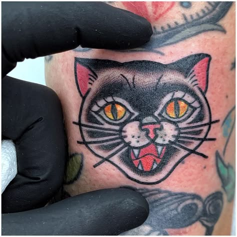 Americana Cat Tattoo, Traditional Cat Face Tattoo, Woman With Cat Tattoo, Alley Cat Tattoo, Traditional Cat Tattoo Flash, Black Cat Traditional Tattoo, Old School Cat Tattoo, Grey Cat Tattoo, Vintage Cat Tattoo