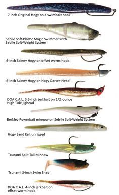 soft plastics chart Saltwater Fishing Gear, Fishing Mugs, Striper Fishing, Fishing Freshwater, Saltwater Fishing Lures, Fishing Hacks, Salt Water Fishing, Bass Fishing Lures, Bass Fishing Tips