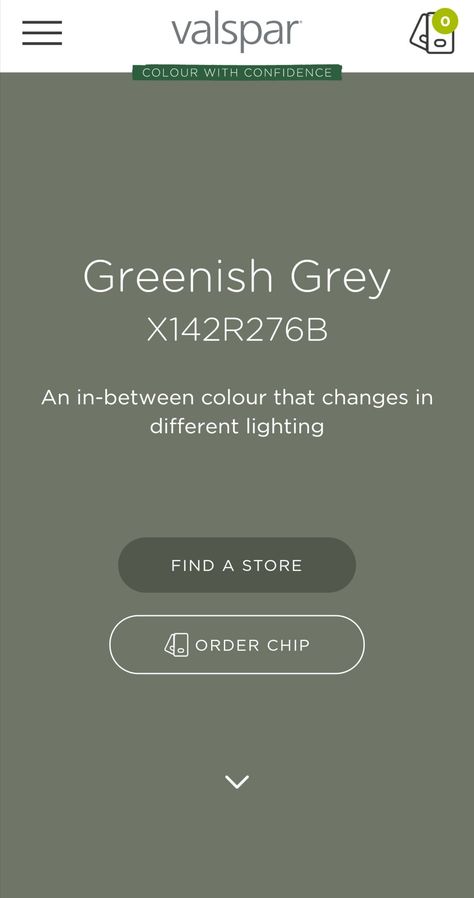 Valspar Greenish Gray, Greenish Grey Valspar, Valspar Gray, Valspar Green, Valspar Colors, Green Grey Paint, Greenish Grey, House Lounge, Valspar Paint