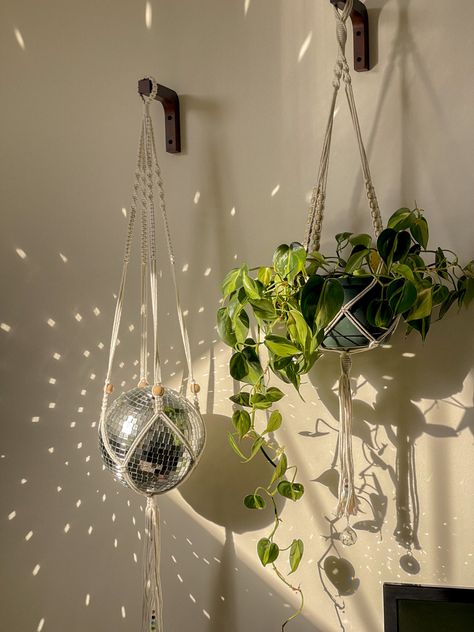 Disco Bedroom, Plant Bedroom Aesthetic, Plants For Beginners, Boho Bathroom Ideas, Plants Aesthetic, Hanging Plants Indoor, Trailing Plants, Bedroom Plants, Disco Balls