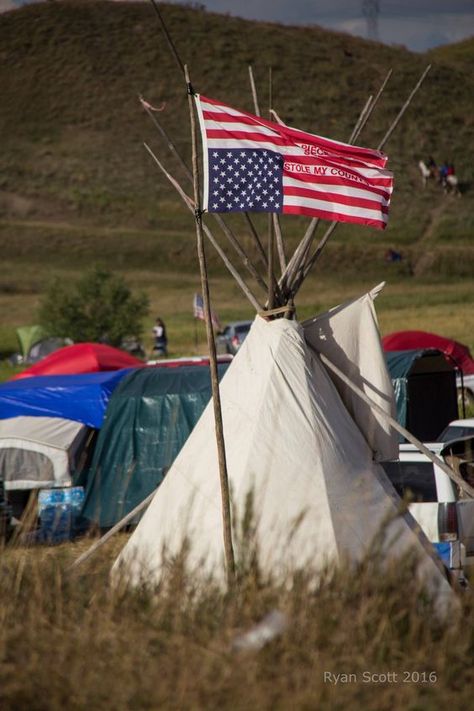 Native History, Ink Photography, Shape Ideas, Distress Signal, Native American Wisdom, Native Pride, Indian Reservation, Protest Art, Standing Rock