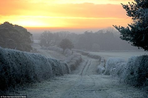 Cold and frosty morning Frosty Fall Morning, Hozier Core, Sunny Winter Morning, Frosty Morning Aesthetic, Frosty Autumn Morning, Nostalgia Christmas, English Winter, Foggy Spring Morning, Morning Frost