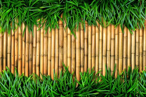 Bamboo Background, Grass Background, Back Ground, Bamboo Wall, Green Grass, On Demand, Wall Painting, Stock Photography, Print On Demand