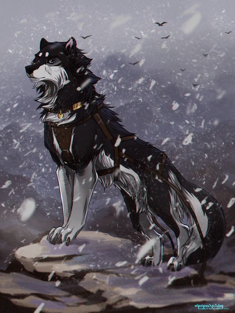 I LOVE this wolf! It makes me think of Balto. / Wolves / (Shadow by AgentWhiteHawk.deviantart.com on @DeviantArt) Anime Dog Art, Anime Husky, Husky Illustration, Feral Art, Husky Art, Sai Brushes, Anime Wolves, Pet Anime, Dog Design Art