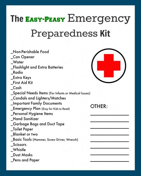 Emergency/Evacuation Preparedness Kit Free Printable Checklist! - The Creek Line House Evacuation Checklist, Evacuation Kit, Disaster Plan, Emergency Binder, Emergency Prepardness, Evacuation Plan, Emergency Preparedness Kit, Emergency Evacuation, Emergency Preparation