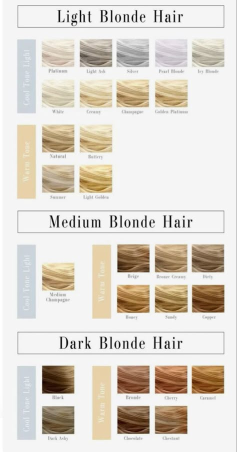 Blonde Blonde Hair, Blonde Hair Color Chart, Hair Chart, Honey Blond, Hair Blond, Hair Color Chart, Blonde Hair Color Ideas, Blonde Hair Shades, Balayage Hair Blonde