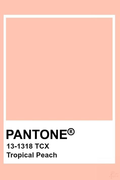 Pale Peach Color Palette, Pale Peach Paint Color, Pantone Pastel Colors, Peach Pantone, Pastel Pantone, Pastel Peach Color, Peach Paint Colors, Light Salmon Color, Peach Color Palette