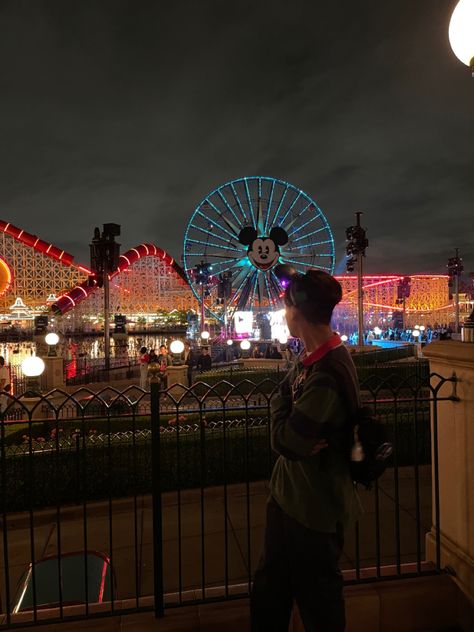 Disneyland Gradnite, Ferris Wheel, Disneyland, Fair Grounds, Disney, Travel