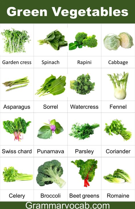 50 Green Leafy Vegetables Names in English with Pictures - GrammarVocab Green Vegetables Name, Vitamin Foods, Vegetable Images, Name Of Vegetables, Rainbow Leaves, Green Leafy Vegetables, Spinach Pizza, Water Spinach, Culinary Cooking