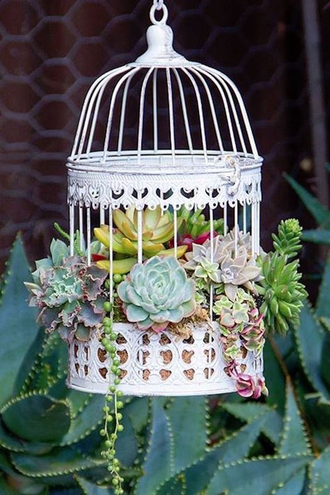 Stop and Admire These Charming Succulent Birdcages — Then DIY Them! Birdcage Planter, Kaktus Dan Sukulen, Succulent Garden Design, Succulent Centerpieces, Succulent Garden Diy, Fake Succulents, Bird Cage Decor, Birdcages, Succulent Gardening