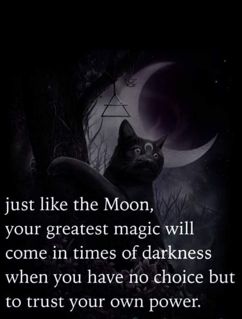 Magic Quotes Aesthetic, Abandonment Quotes, Pagan Inspiration, Mother Moon, Quotes Notes, Witch Quotes, Magic Quotes, Spirit Quotes, Sigil Magic