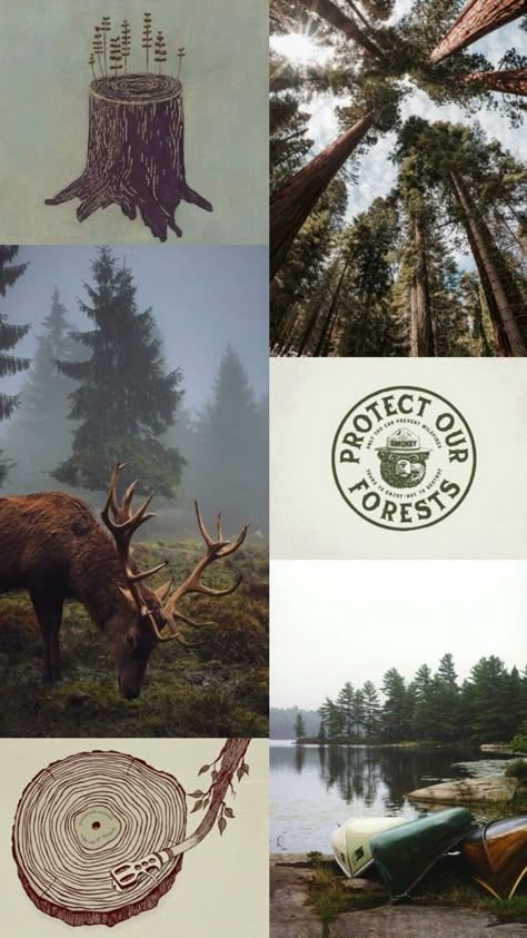 #adventurecore #forest #smokeythebear #wallpaper #lifeisgood #treelover #wildlife #vanlife Smokey Bear Wallpaper, Aesthetic Granola Wallpaper, Green Outdoors Aesthetic, Wildlife Conservationist Aesthetic, Forest Vision Board, Country Life Wallpaper, Forest Ranger Aesthetic, Forestry Aesthetic, Wildlife Conservation Aesthetic