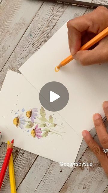 Floral Painting Videos, Watercolor Exercises, Best Watercolor Pencils, Watercolor Whimsy, Watercolor Videos, Watercolor Pencil Art, Loose Watercolor Paintings, Watercolour Cards, Paintings Tutorials